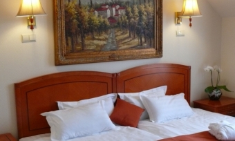 Standard double room - Bellevue Conference and Wellness Hotel Esztergom