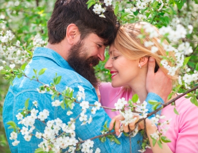 Online offer with half board